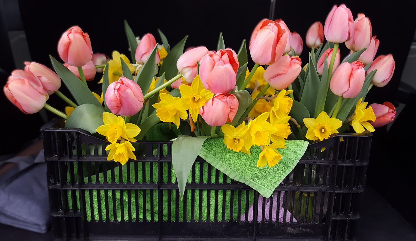 Spring Mix Subscription